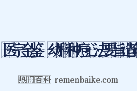 医宗金鉴·幼科种痘心法要旨造句是什么意思的图片